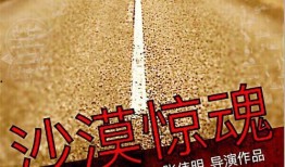 沙漠惊魂在线观看,惊险求生之旅