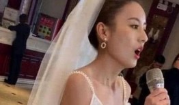 抖音香港娱乐圈爆料女,揭秘抖音红人背后的故事